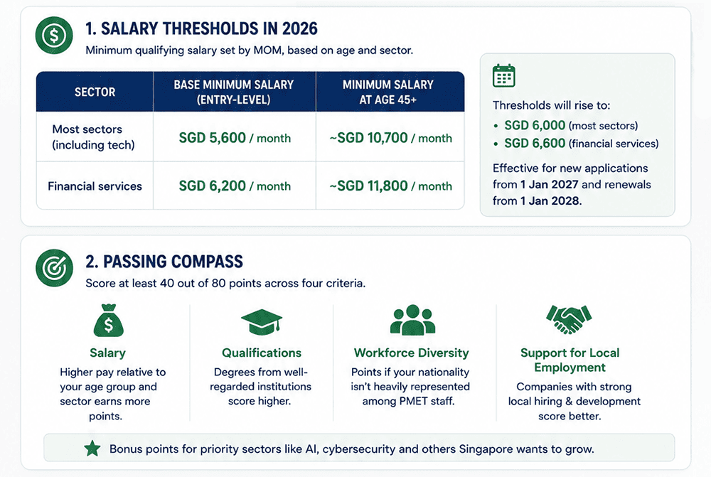 Employment Pass tech professional